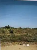 Residencial plot