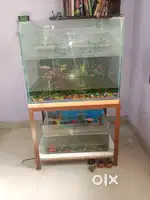 Fish tank big size