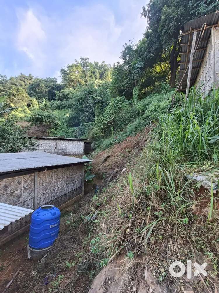 Durgasorobor addingiri