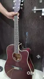 Guitar showpiece for cafes and hotels