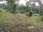 Karukachal 10 cent house plot.1.50 .lakh.