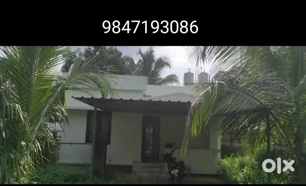 House for rent near Bypass between SNPS and Punthalathazham with road