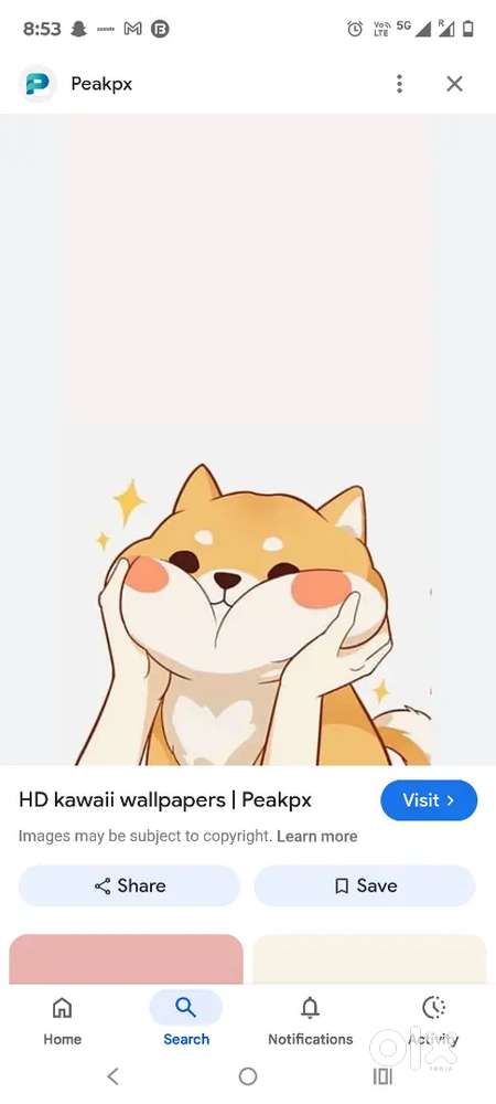 Required and all rounder chef