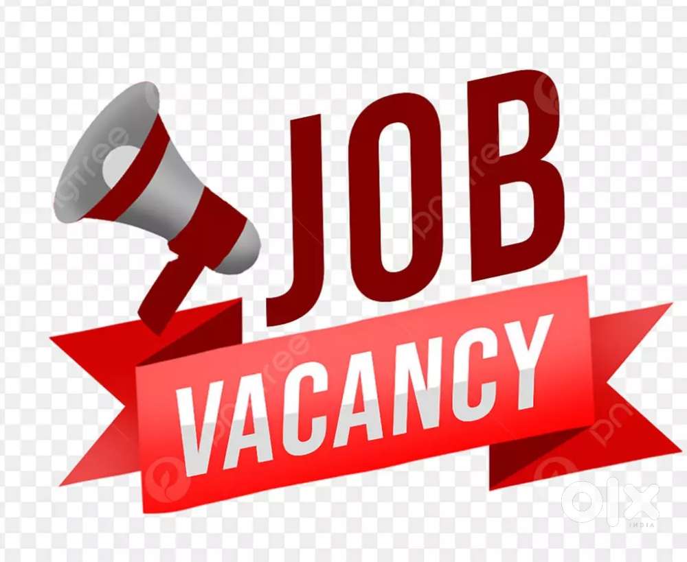 Job vacancy (Below:30)