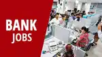 Assistant Manager - Kochi Location
