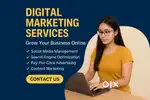 Professional digital marketing service