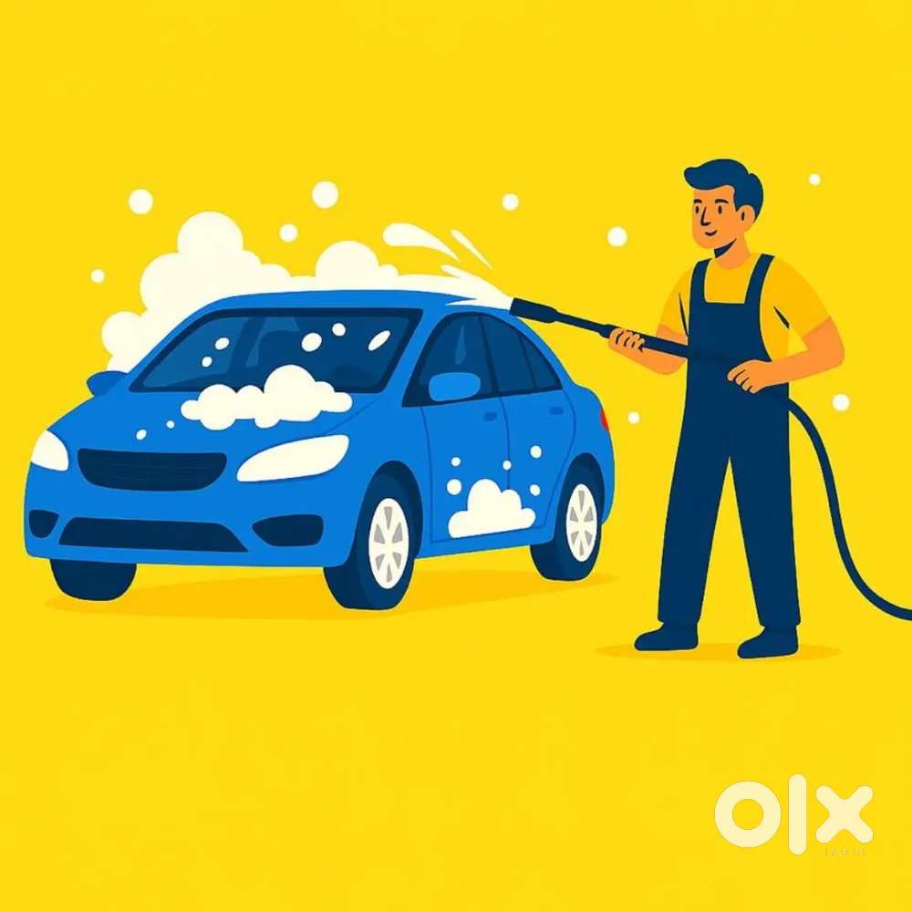 Professional car wash