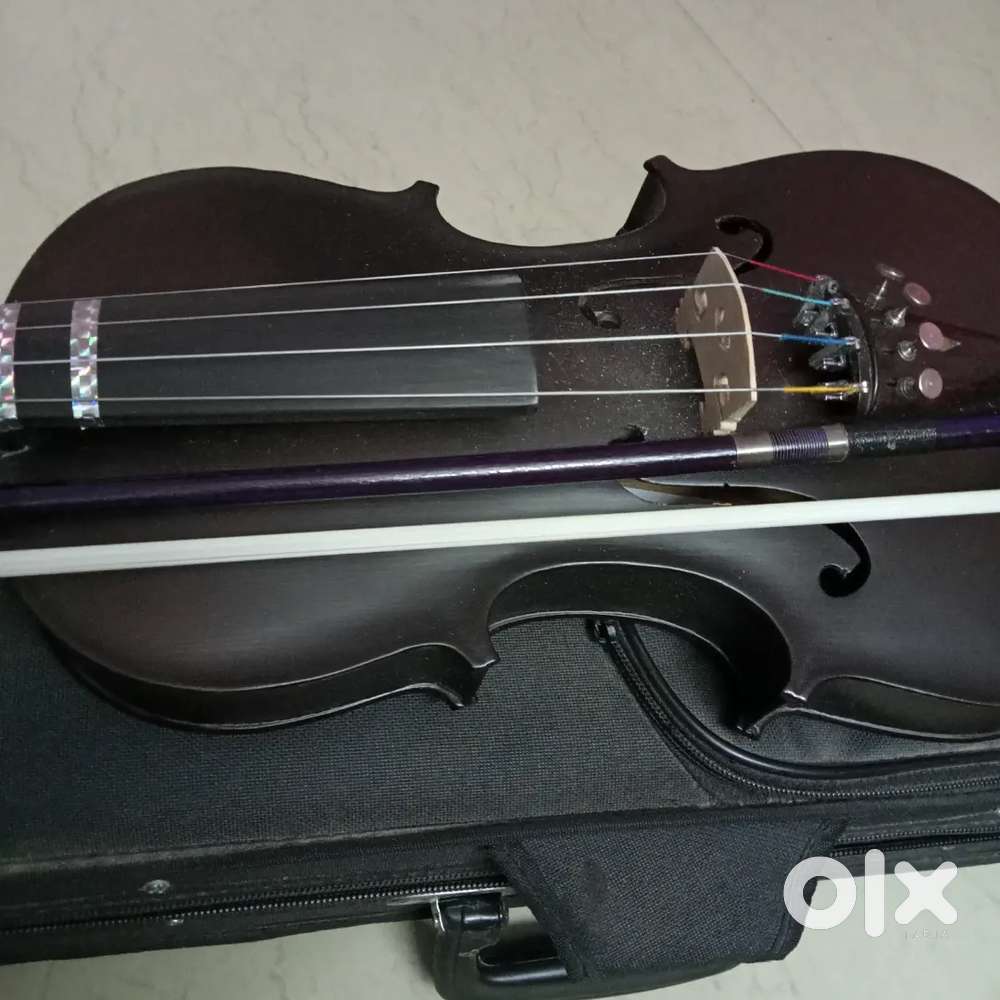 Violin for sale with case chinrest
