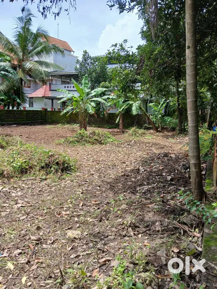 8.5 cent plot for sale kadungalloor