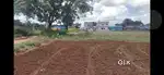 *COMMERCIAL n RESIDENTIAL  PLOT* for sale in PILER,.