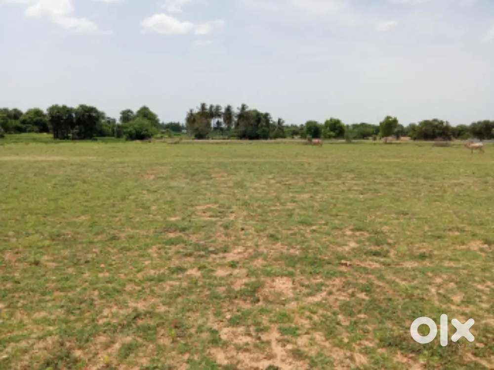 For RENT, OPEN VACCANT LAND. Near poonjeri, , Mahabalipuram, Paiyanur.