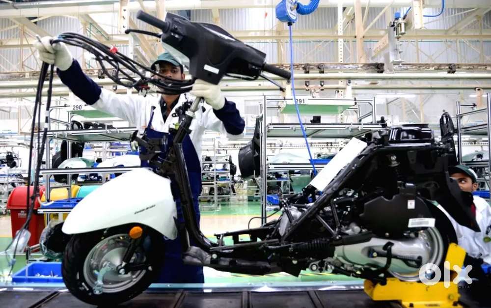 Were hiring freshers for job