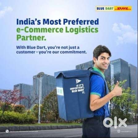 DHL Blue Dart delivery Boy