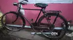 Used Bicycle