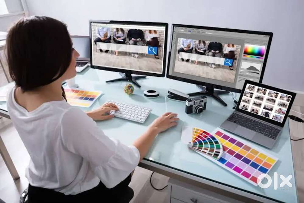 Website Designer and Developers