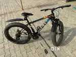 Fat Bike Gear Cycle