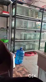 Aquarium Shop for sale full setup