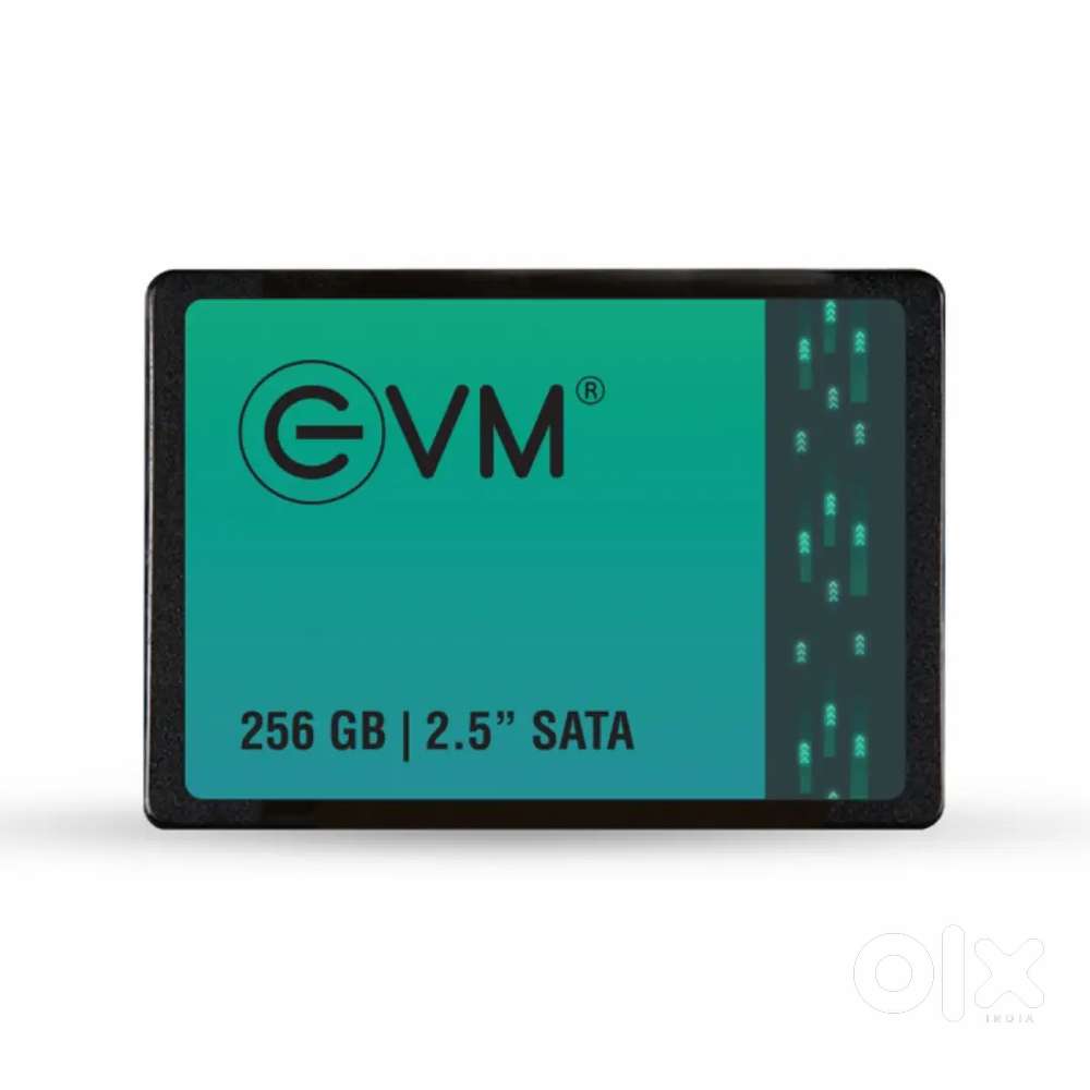 Evm 256gb SSD Brand New