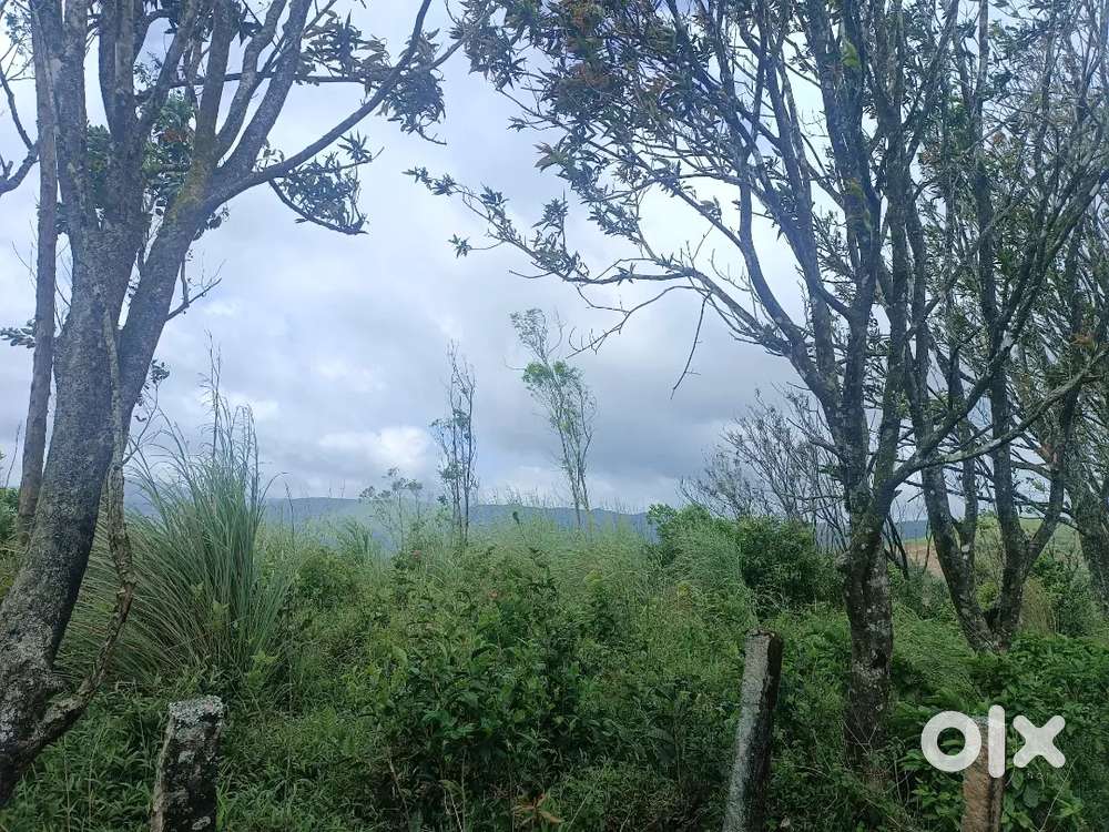 6 Acre Hilltop Level Land sale @Vagamon