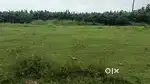 167 square yards plot for sale in Kothapeta eastgodavaridistrict (rvp)