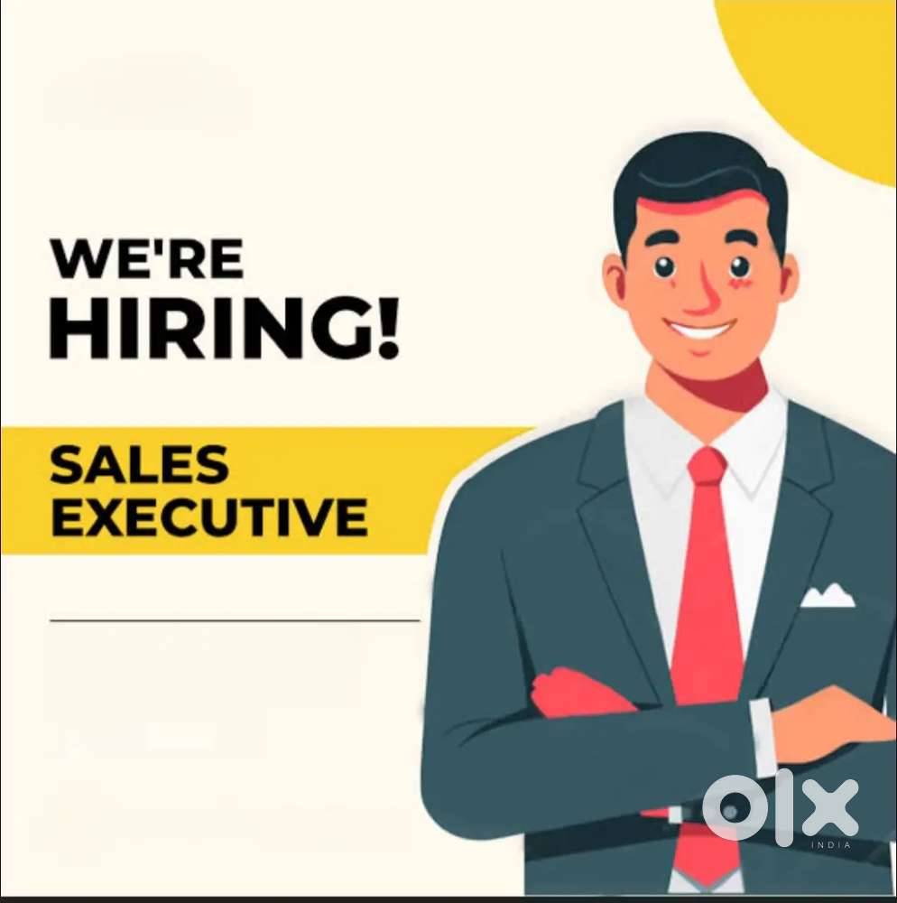 Van sale Executive