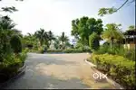 Noida Expressway se 5 min ki duri par plots