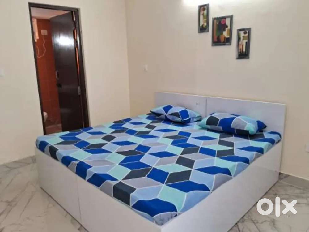 Family 3 BHK kitchen 2 bath sector 43 Chandigarh close to 34