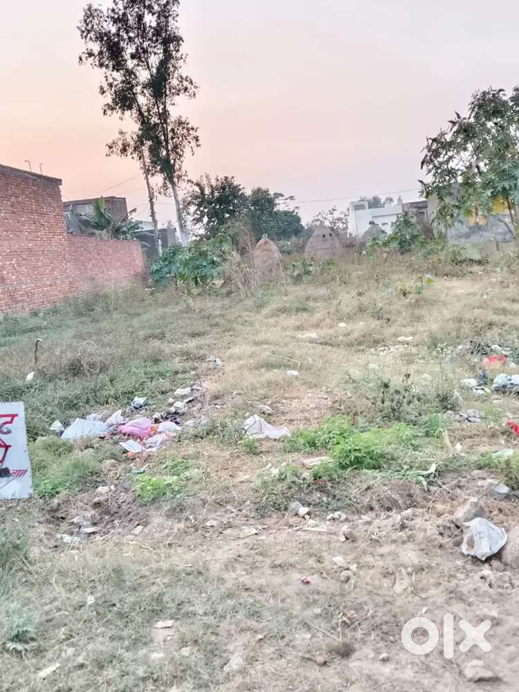 plot in low price for sale in seona village near Ranjit nagar patiala