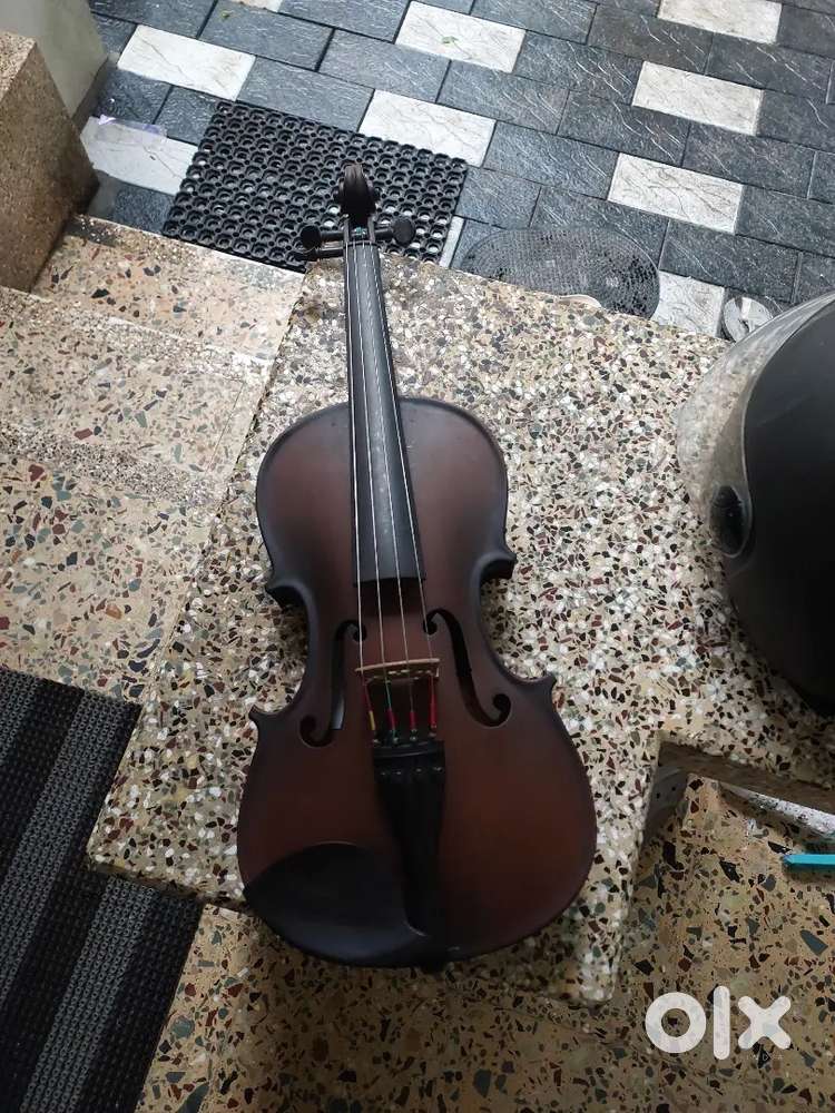 Violin(Including Standard kit with bow and case)