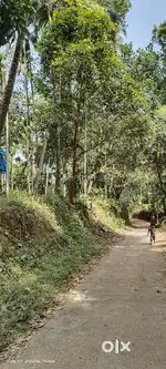 Arayammatt,Narayam kulam