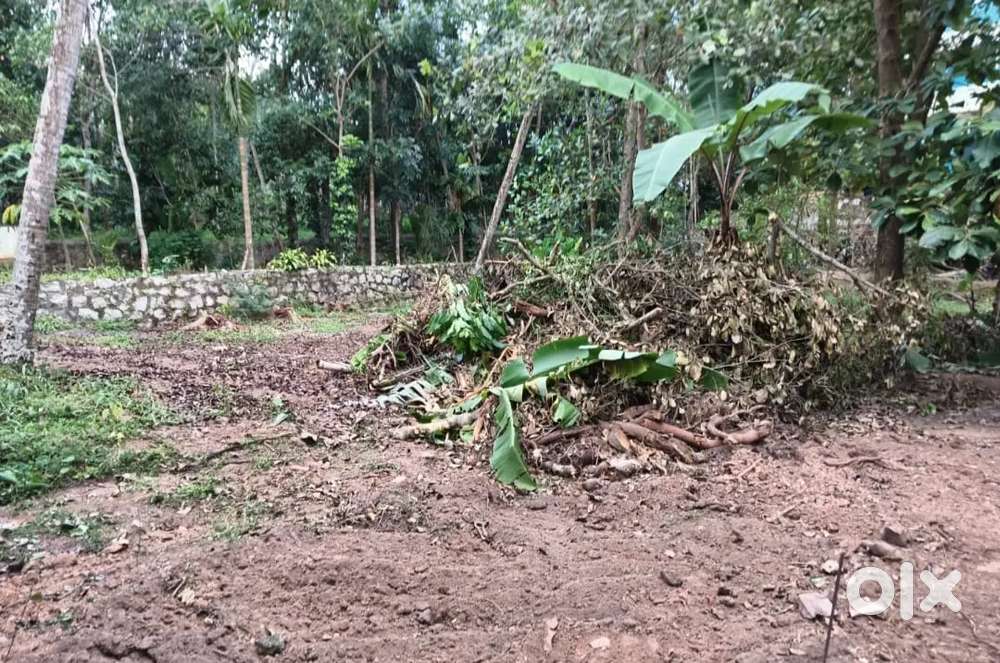 5.750 cent plot for sale at Azhoor-Sasthavattom road