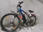 E DRAGO 29 INCH ELECTRIC BICYCLE