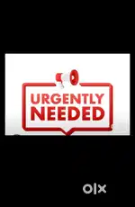 All job available