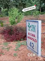 Gated Community Managed Farmland 6534sqft ready registration