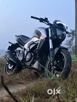 Dominar 250