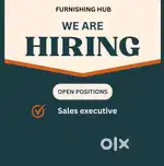 Sales executive job at Furnishing hub