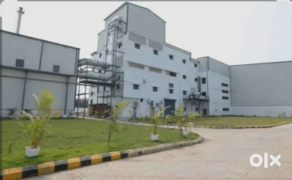 Urgent requirement ladke ki jal se jal sampark kare