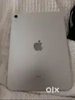 ipad 10th Gen Silver within warranty with everything