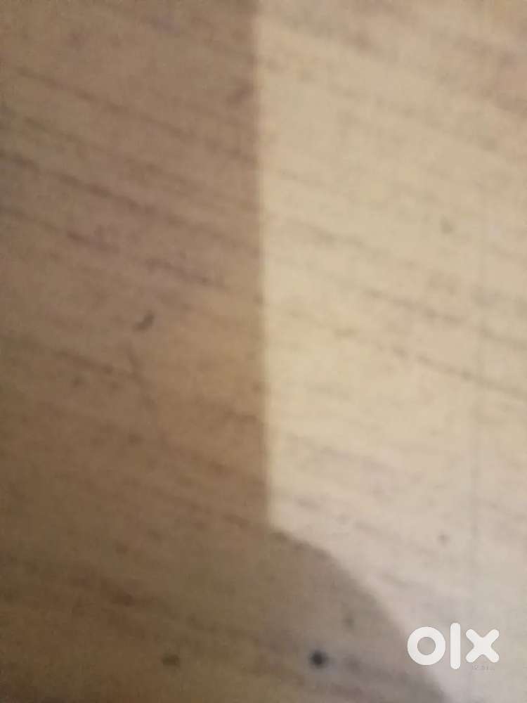 Urgent requirement of delivery boy