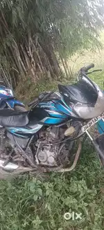 Gud kandisn