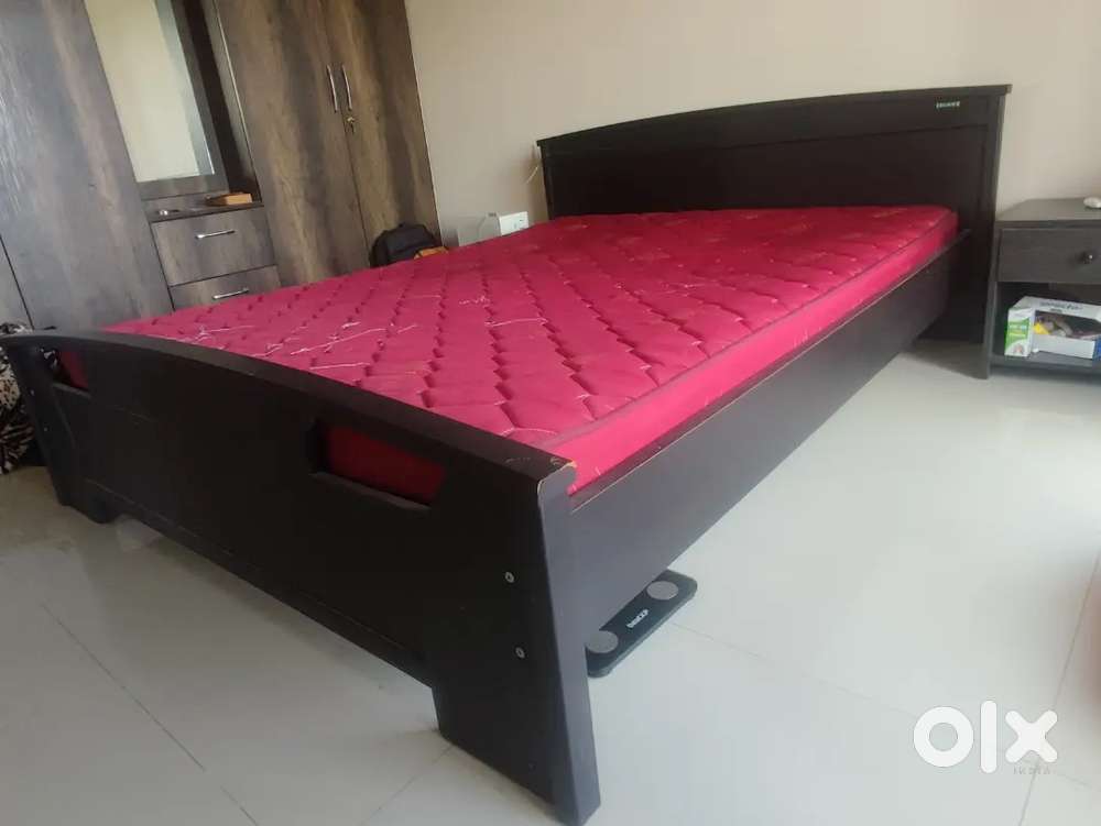 Sofa + Dining + Cot
