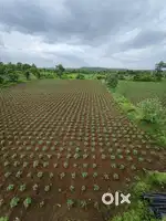 3 Acre commercial land on main Hingna wardha State Highway,3 side road