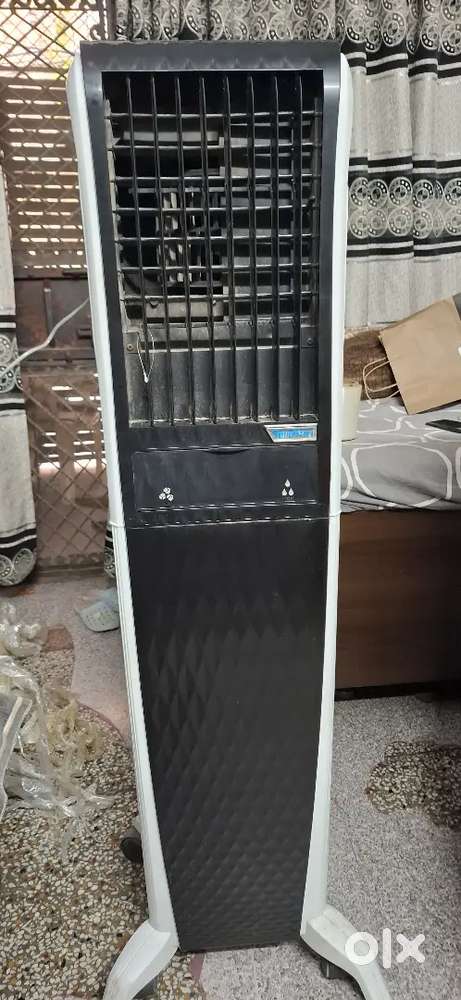 Symphony diet cooler 55L