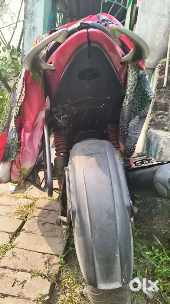 Patuli goss para c 12  surjotoroni