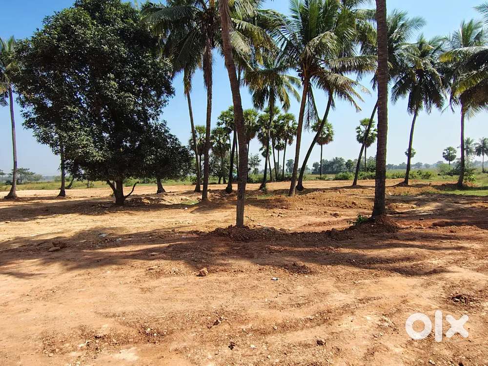 100 square yards land for sale west facing