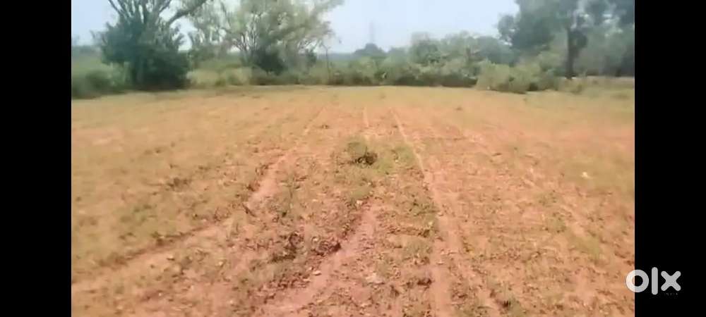 Agriculture land for sale which is including the best water source