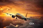 Now hiring for indigo airlines apply fast