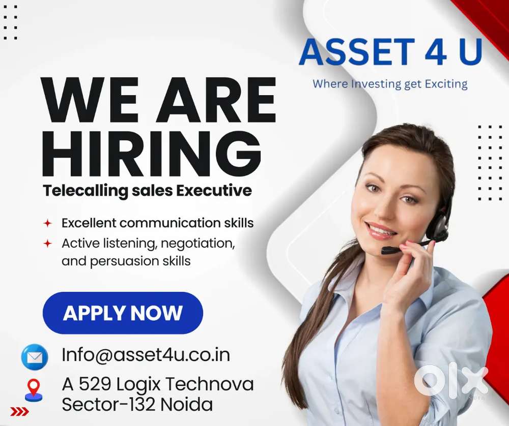 Sales Executive