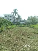 Palakkad 6 cent plot manali