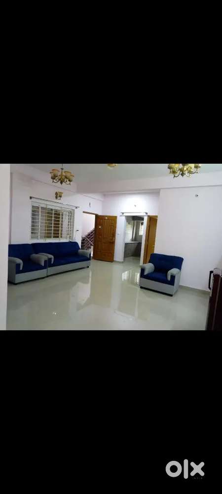 Native wall men's PG